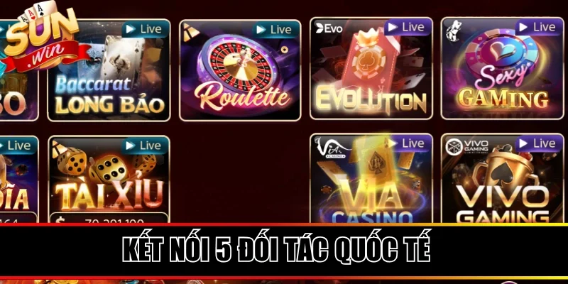 Kết nối với 5 đối tác quốc tế phòng live chất lượng